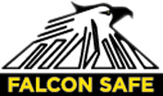 Falcon Malaysia