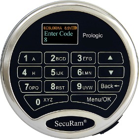 SecuRam ProLogic L02